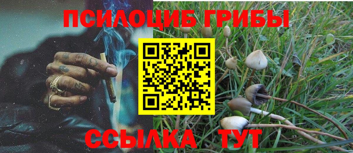 Галлюциногенные грибы MAGIC MUSHROOMS Бугуруслан