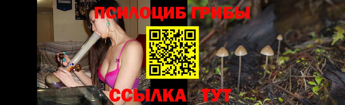 Псилоцибиновые грибы Magic Shrooms  Вход с VPN  Бугуруслан 